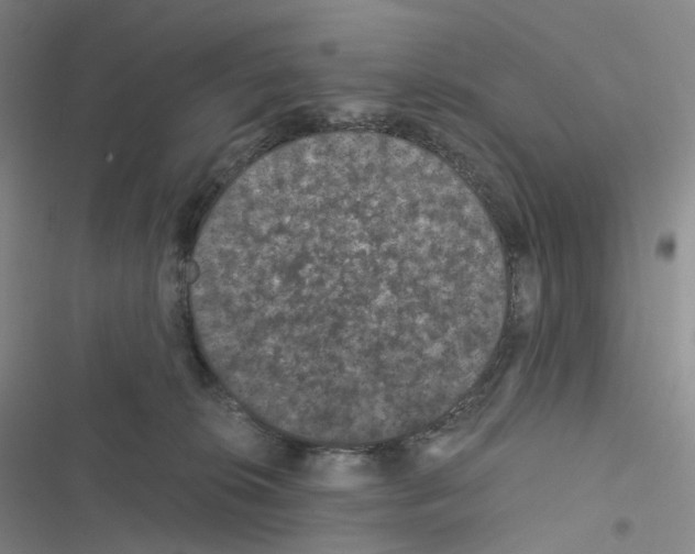 X0000116480276201001201348