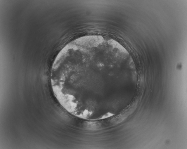 X0000116480277201001201348