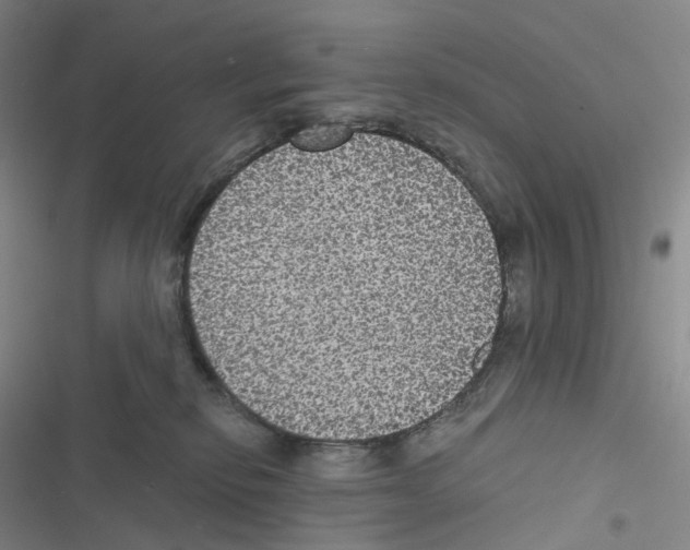 X0000116480278201001201348
