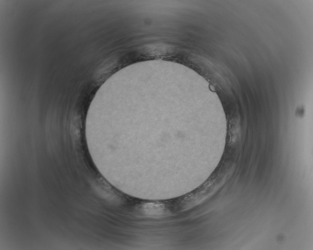 X0000116480279201001201348