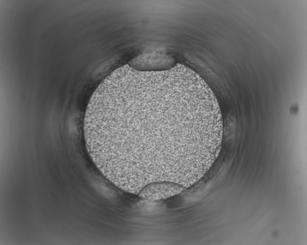 X0000116480280201001201349