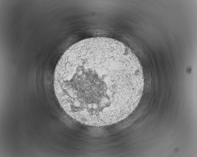 X0000116480281201001201349