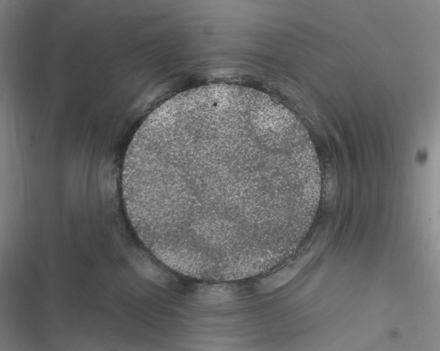 X0000116480282201001201349