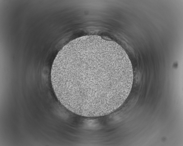 X0000116480283201001201349