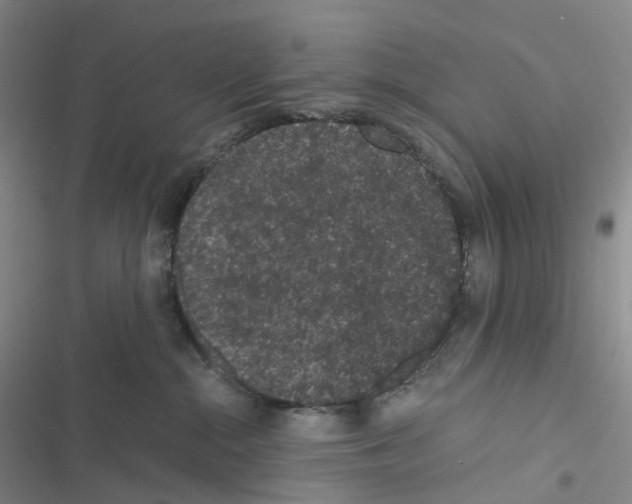 X0000116480284201001201349