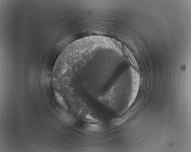 X0000116480285201001201349