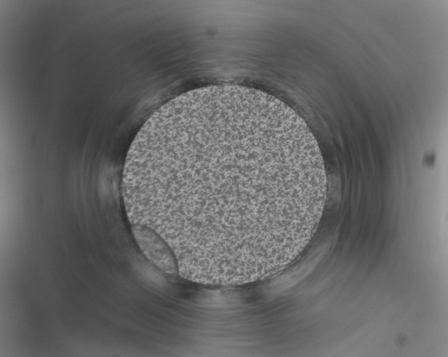 X0000116480286201001201349