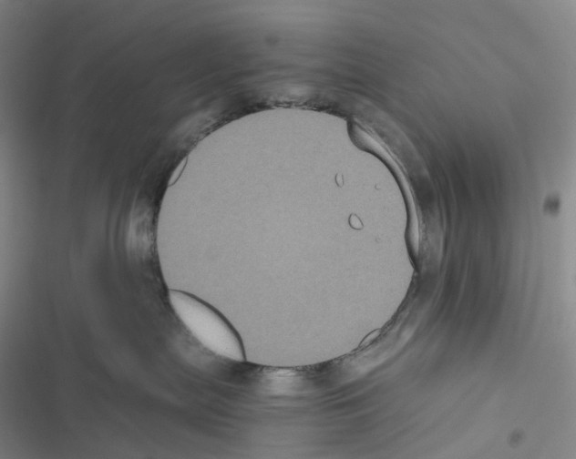 X0000116480287201001201349