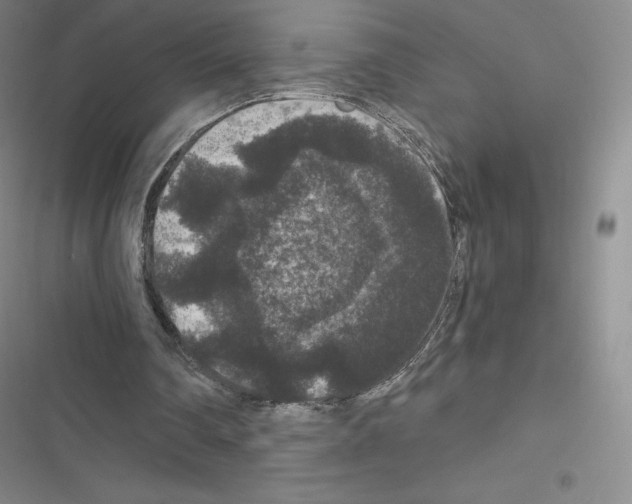 X0000116480290201001201348