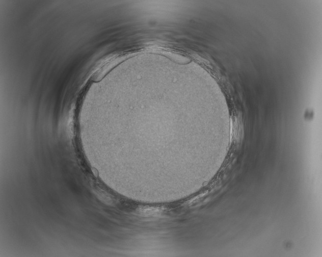 X0000116480291201001201348