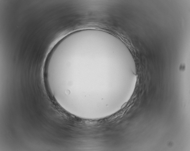 X0000116480292201001201348