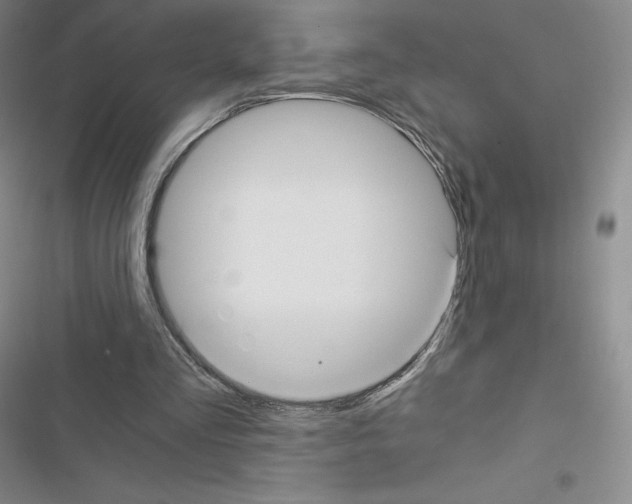 X0000116480293201001201348