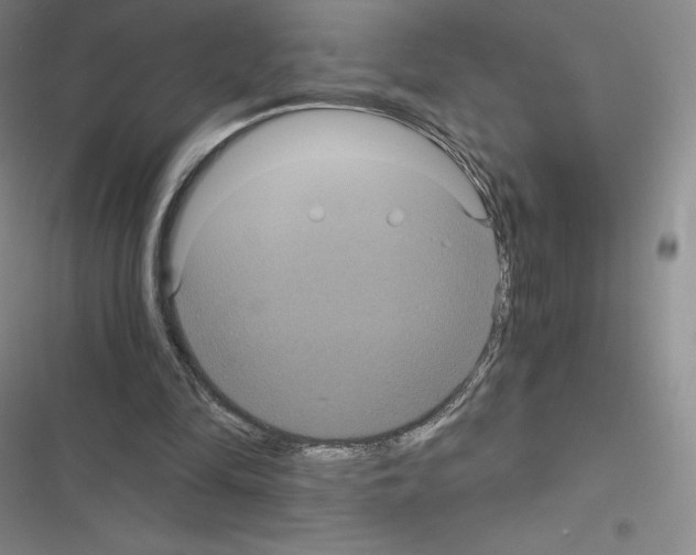 X0000116480294201001201348
