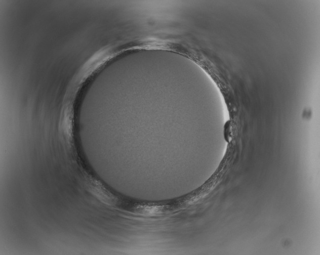 X0000116480295201001201348