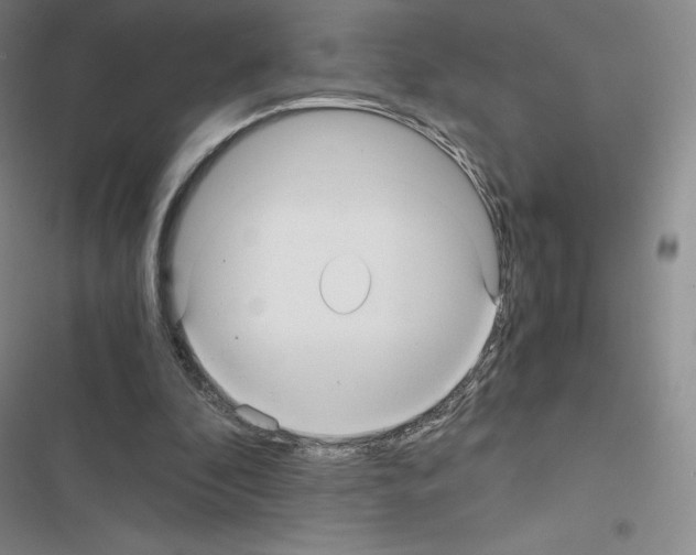 X0000116480296201001201348