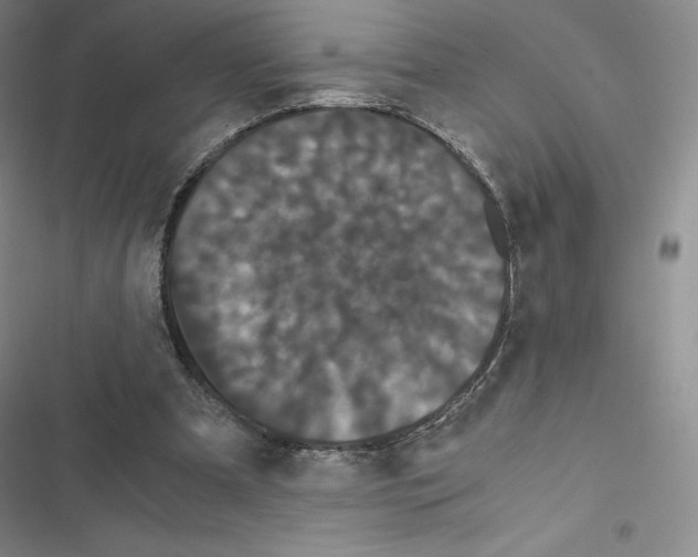 X0000116480297201001201348
