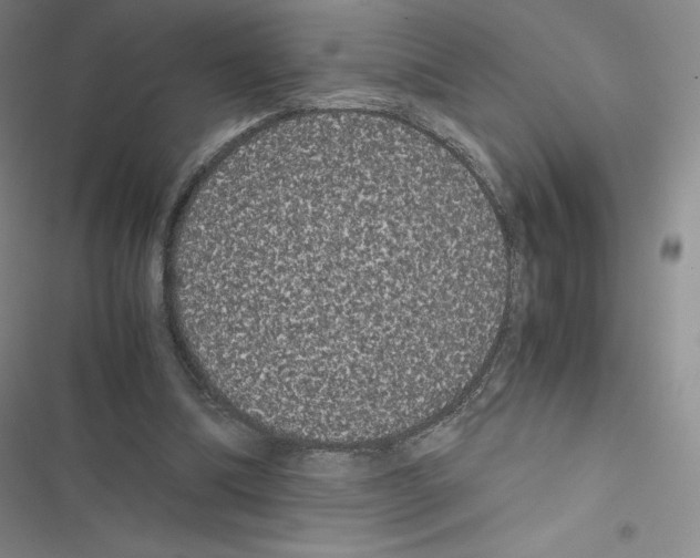 X0000116480298201001201348