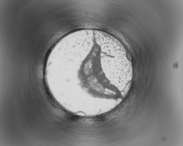 X0000116480299201001201348