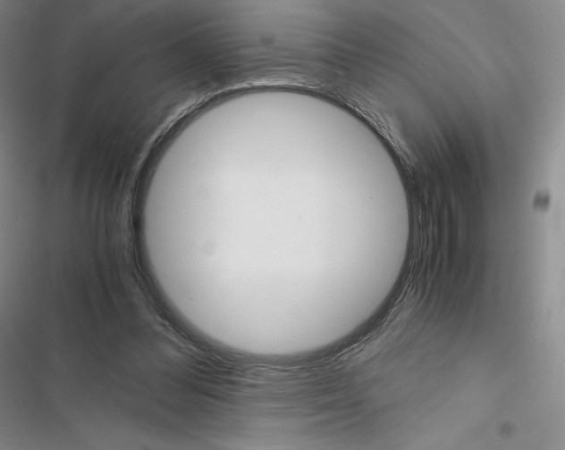 X0000116480300201001201348