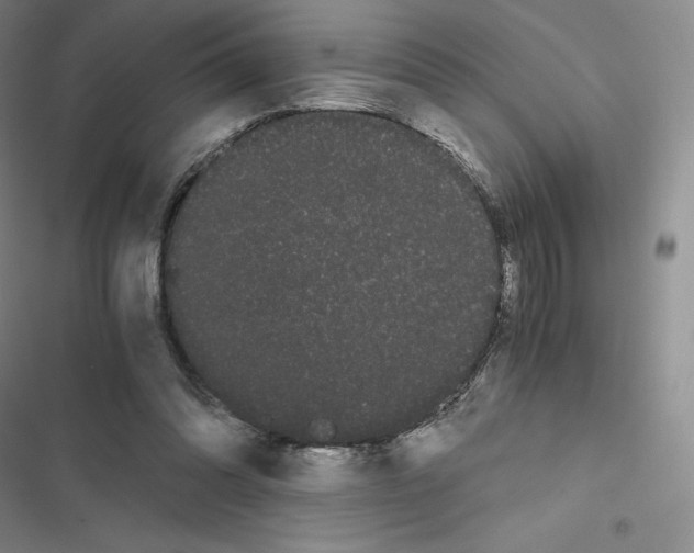 X0000116480302201001201348