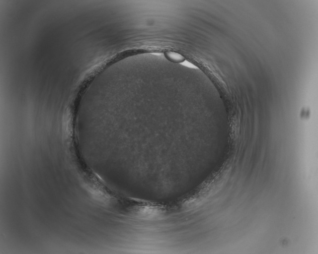 X0000116480303201001201348