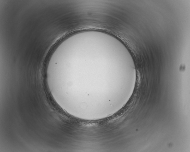 X0000116480304201001201348