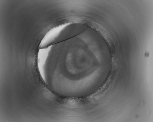 X0000116480305201001201348