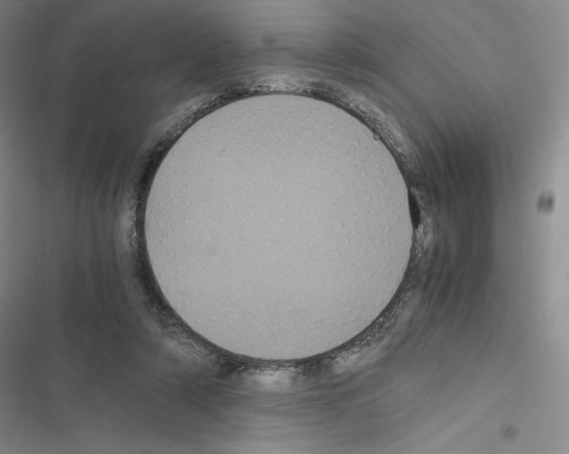 X0000116480306201001201348