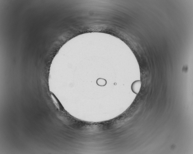 X0000116480307201001201348