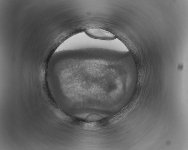 X0000116480309201001201348