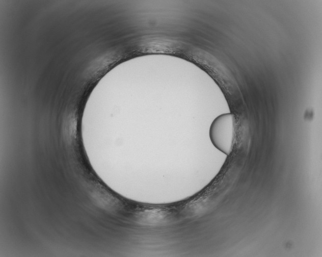 X0000116480310201001201348