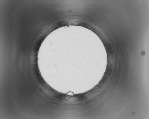 X0000116480311201001201348