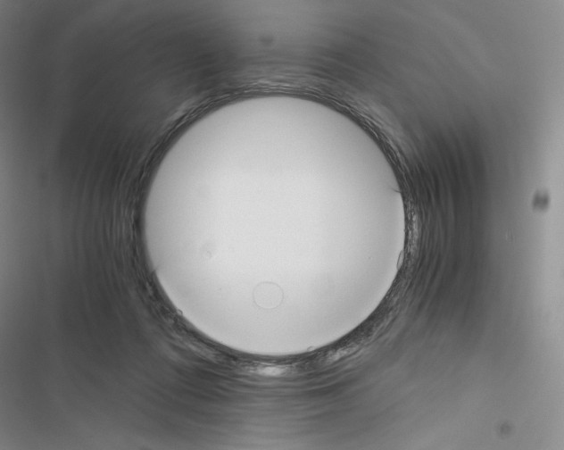 X0000116480312201001201348