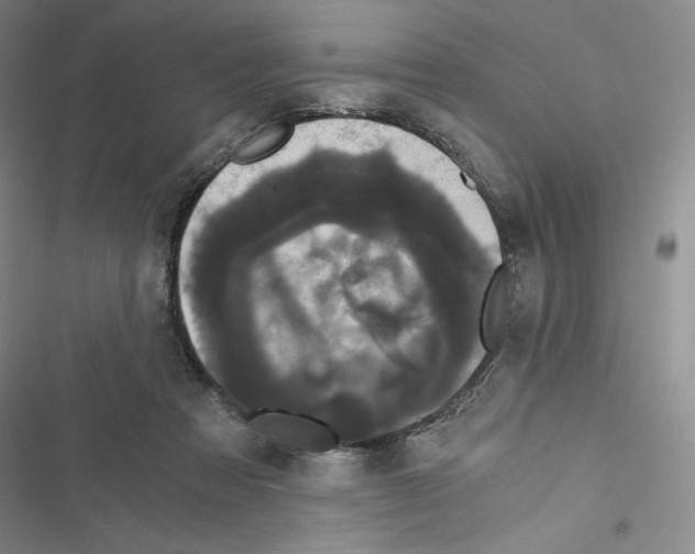 X0000116480313201001201348