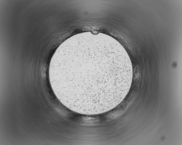 X0000116480315201001201348