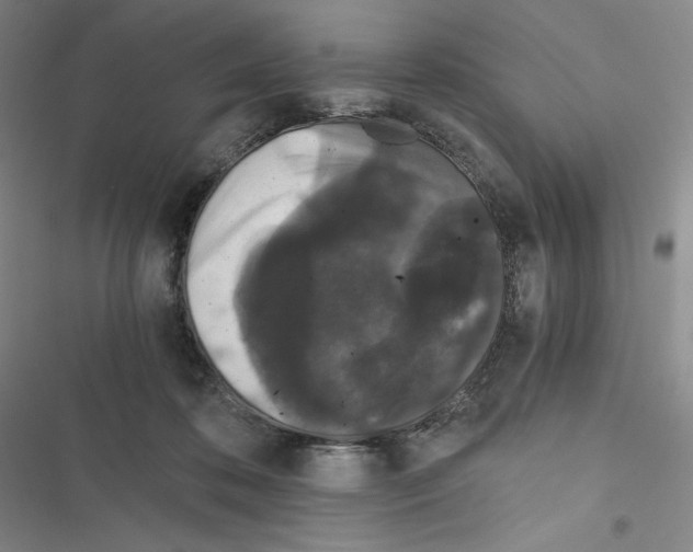 X0000116480316201001201348