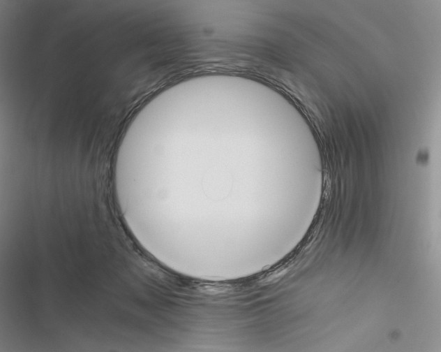 X0000116480317201001201348