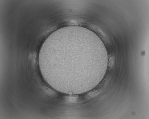 X0000116480318201001201348