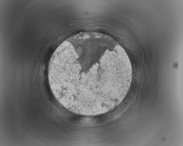 X0000116480319201001201348
