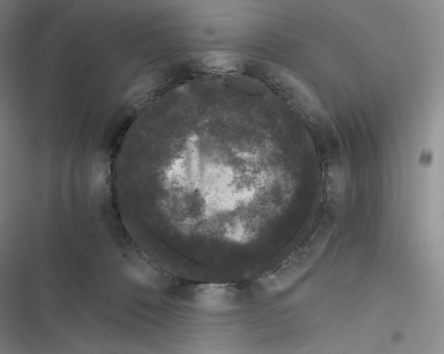 X0000116480320201001201348