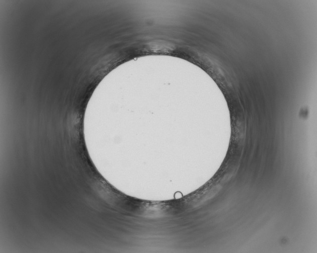 X0000116480321201001201348