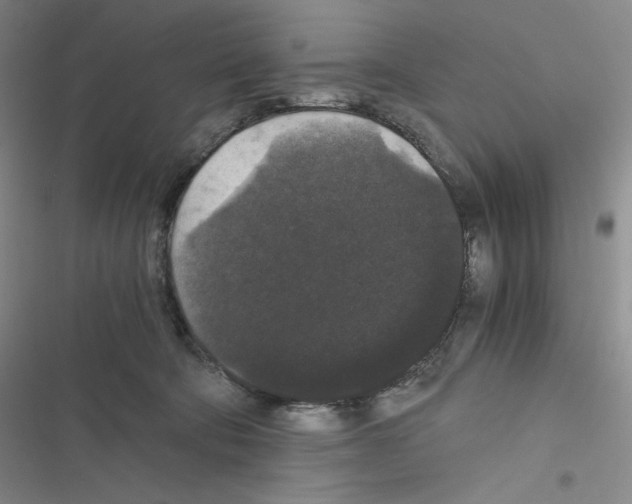 X0000116480322201001201348
