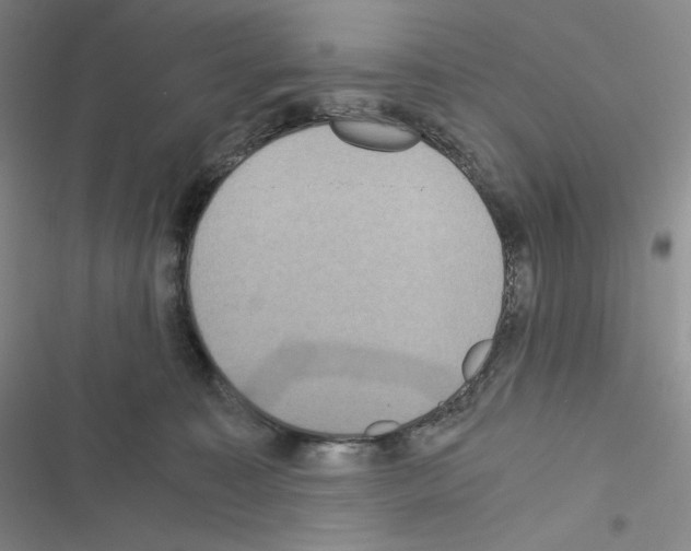 X0000116480323201001201347