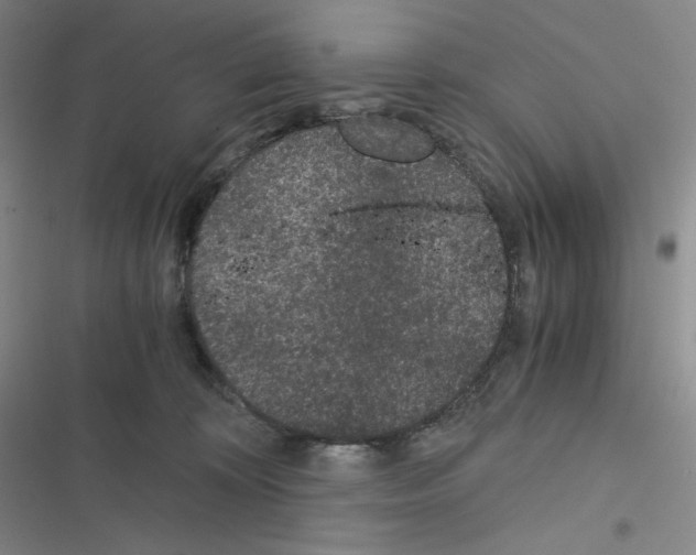 X0000116480324201001201347