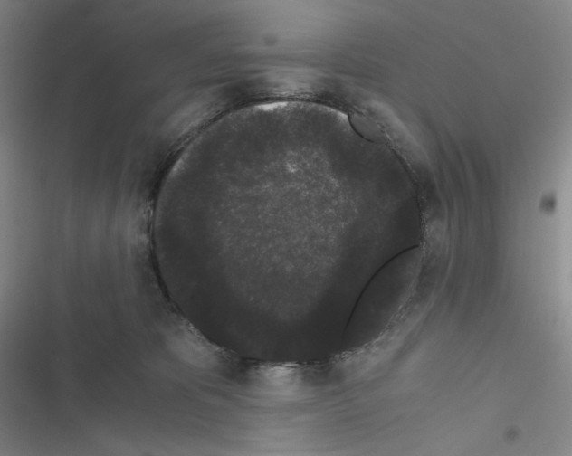 X0000116480325201001201347