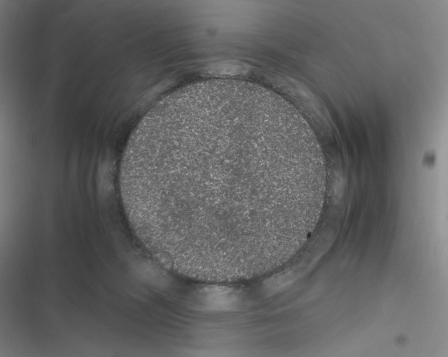 X0000116480326201001201347