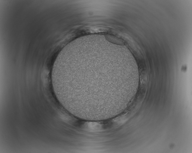 X0000116480327201001201347