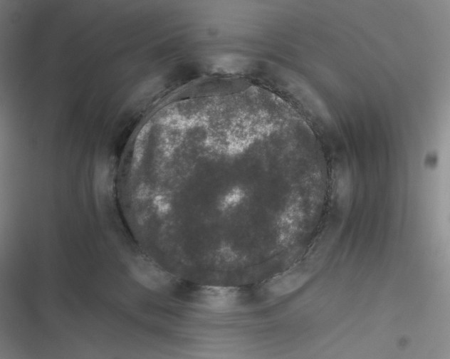X0000116480328201001201347