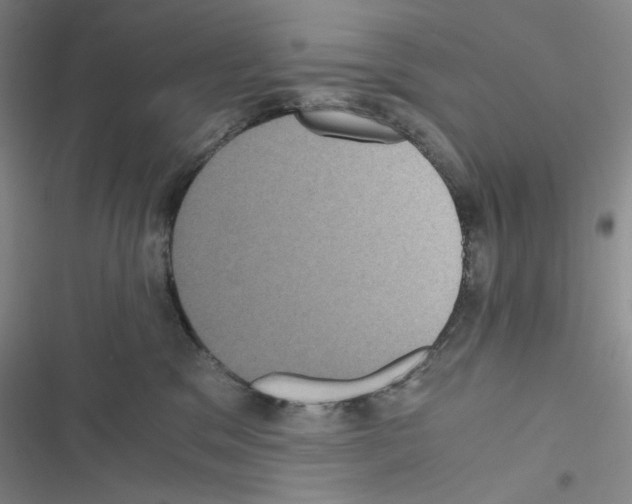 X0000116480329201001201347