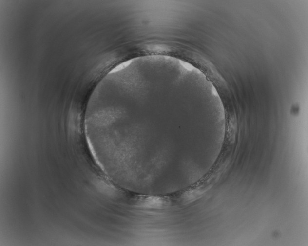 X0000116480330201001201347